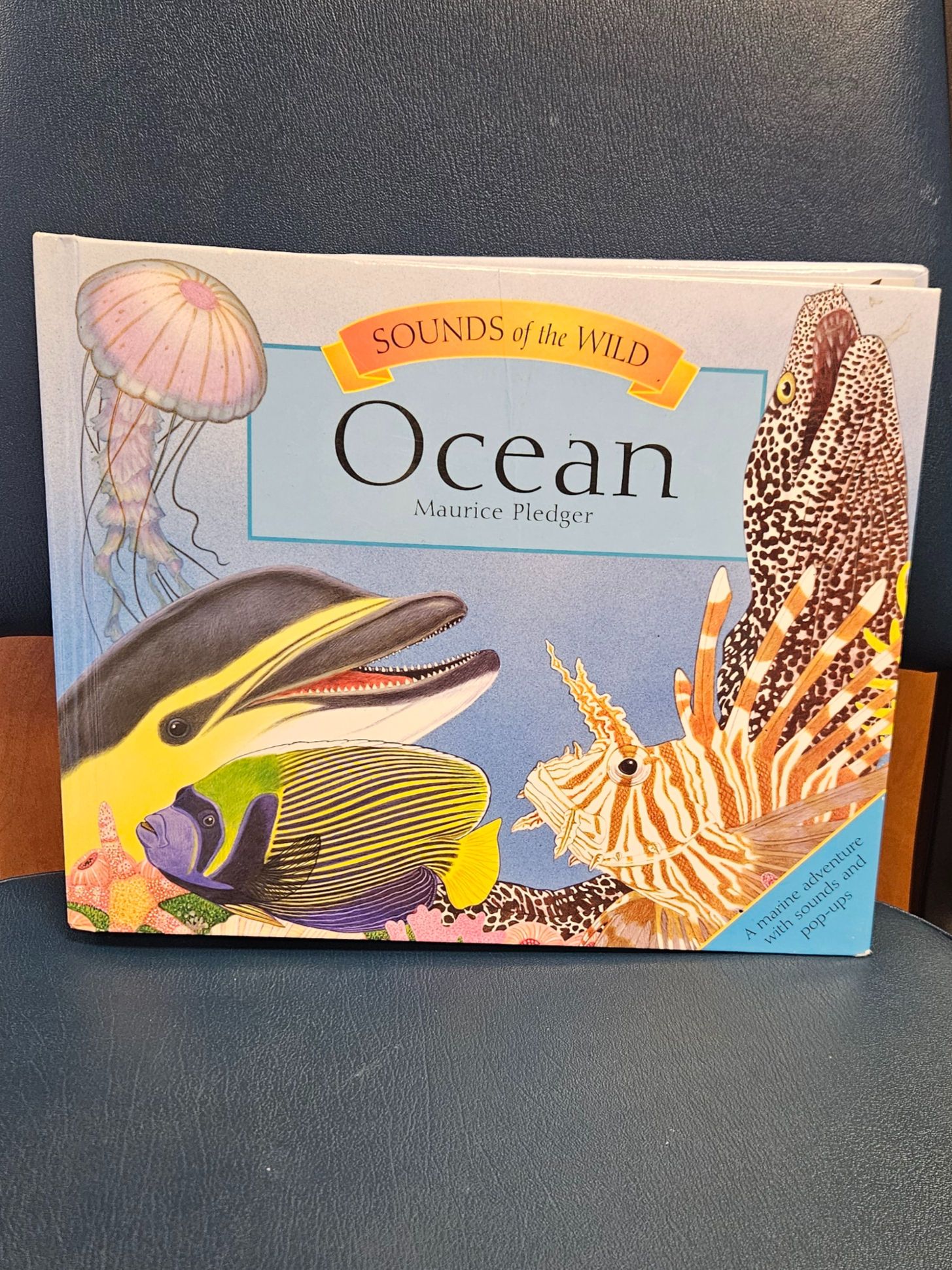 Sounds of the Wild: Ocean