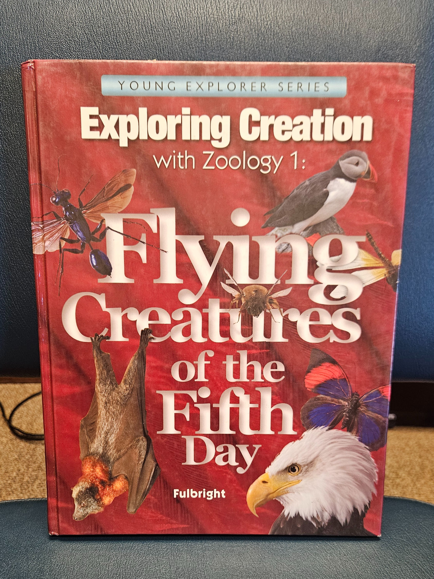 Exploring Creation w/ Zoology 1