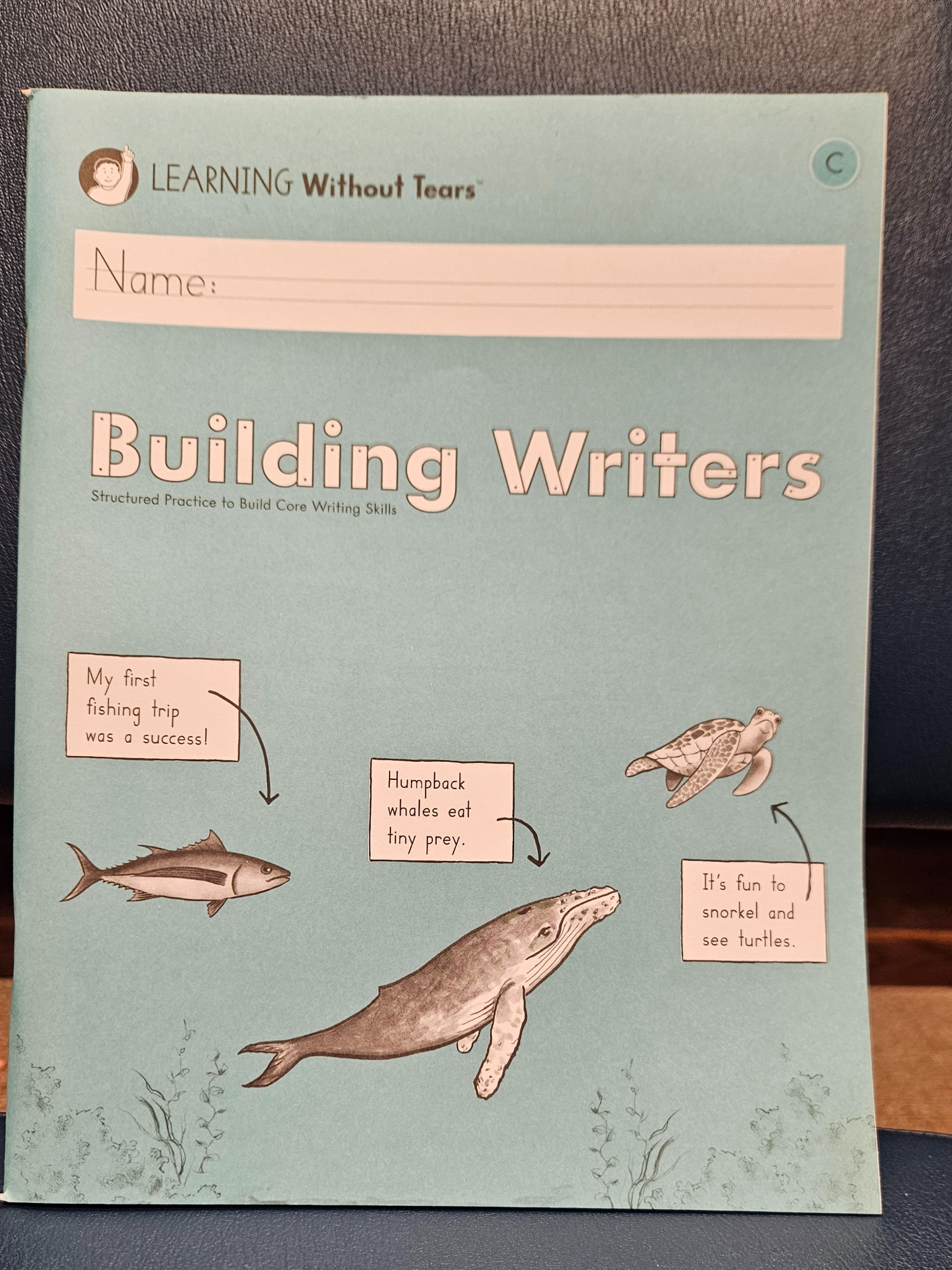 Handwriting Without Tears Building Writers Level C