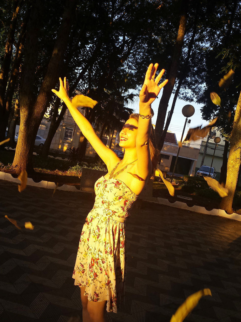 20150606_170411_5_bestshot.jpg