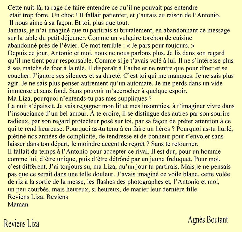 1er prix Agnes Boutant suite 2.JPG