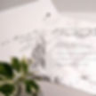 Wedding Invitation Velum Overlay