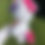 Thumbnail: Unicorn