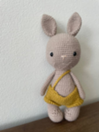 Pumpkin the Rabbit