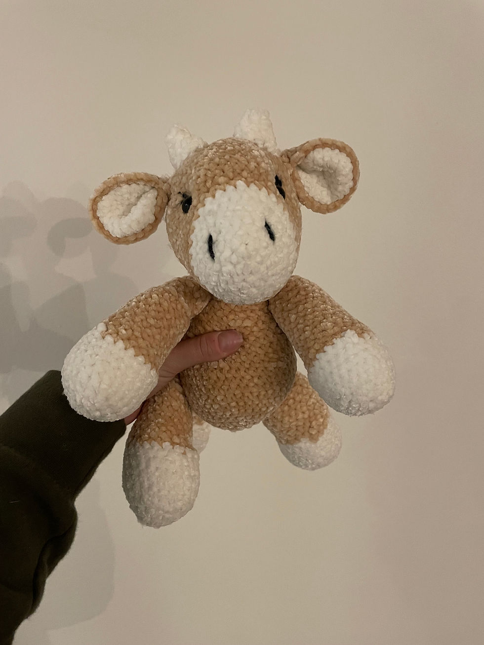 Thumbnail: Sitting Highland Cow