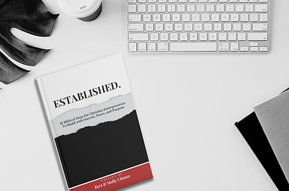 Wix_Established_Desk Design (1).png