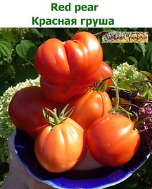 102P1200700.jpg