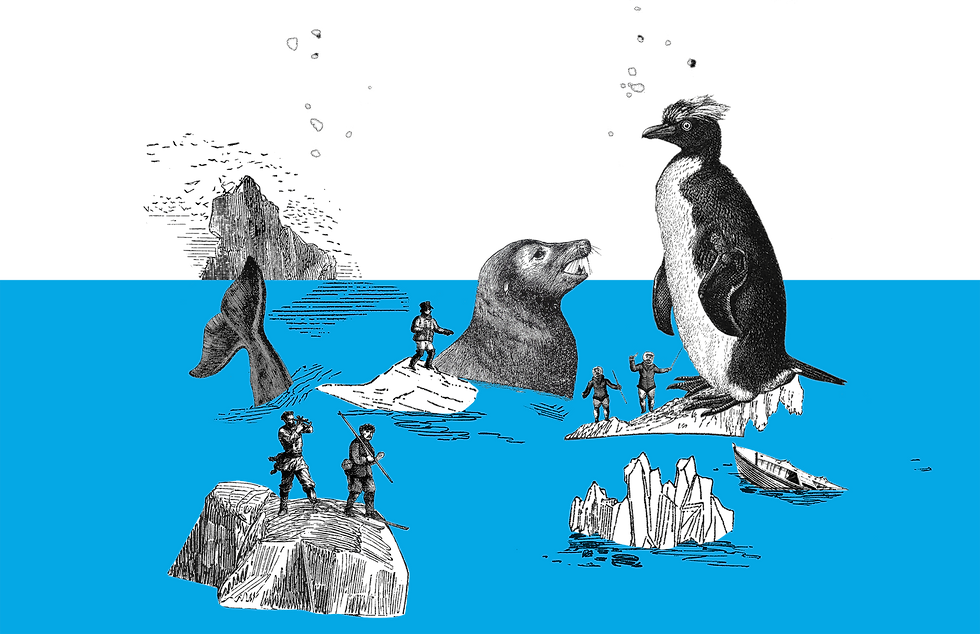 friaca_ilustracao_3.png