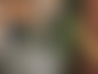 Foxes and Skunks in Early Fall: What South Jersey Homeowners Should Know