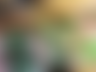 How Quickly Squirrels Can Damage Your Attic – and Why New Jersey Homeowners Should Act Fast