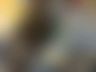 Top 5 Wildlife and Pest Problems for South Jersey Homeowners in November — And How to Prevent Them