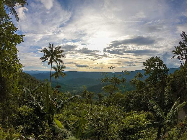 Munnar (16).jpg