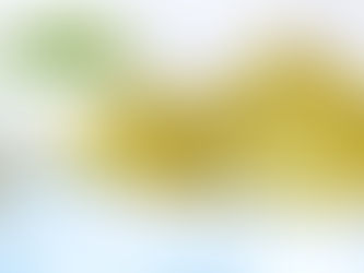 Basic Gluten Recipe (Veggie Meat)