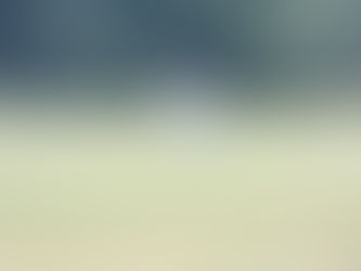 WEEK 15 MATCH REPORTS