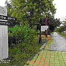 טיילת שוני.jpg