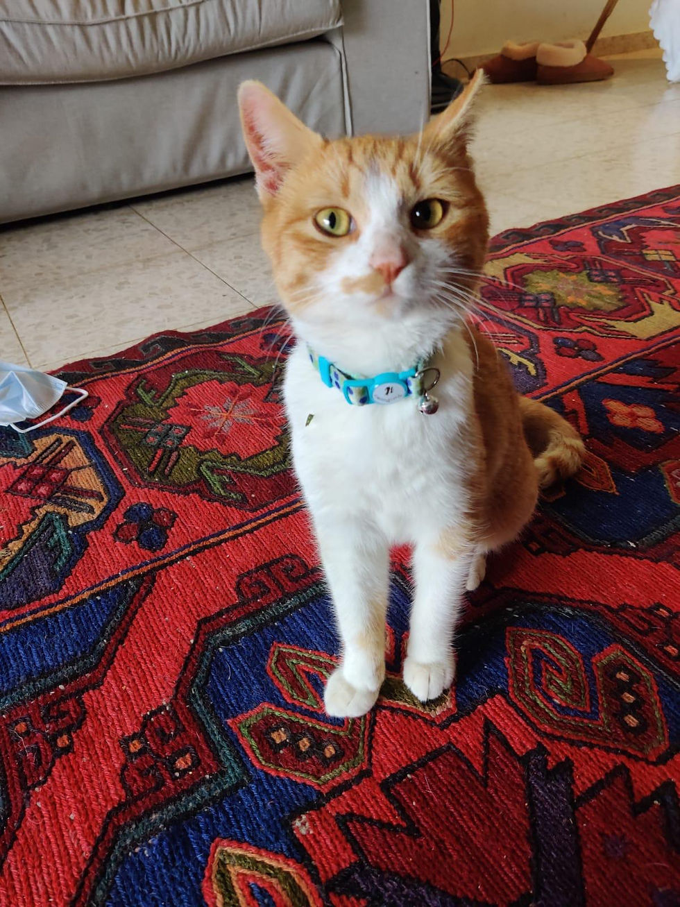 WhatsApp Image 2023-02-12 at 13.19.15.jpeg