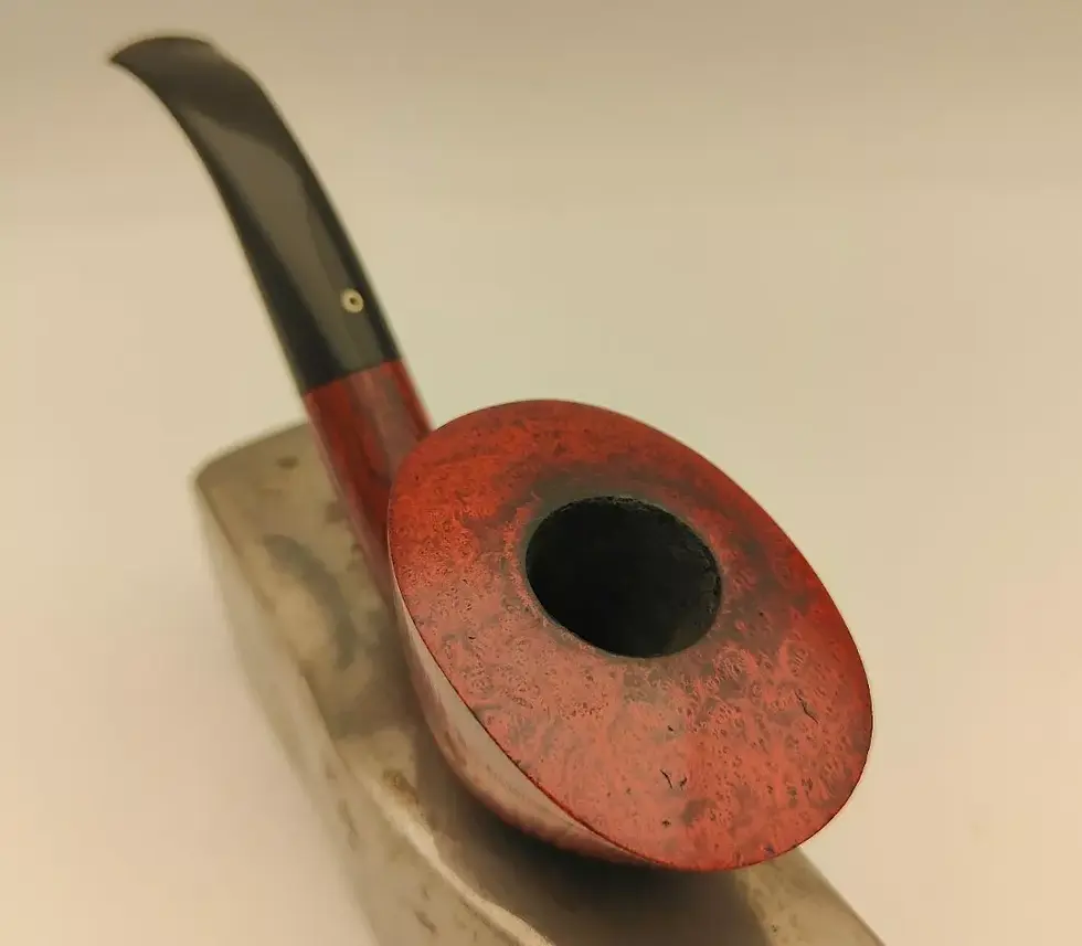 Thumbnail: La pipa Talamona è un'elegante e raffinata pipa da tabacco di origine italiana, nota per la sua manifattura di alta qualità e il design distintivo. Realizzata con materiali pregiati come il briar o il legno di qualità superiore, la Talamona si distingue per linee classiche e dettagli curati, che offrono un'esperienza di fumo confortevole ed estetica. La sua forma può variare, ma spesso presenta un serbatoio ampio e una bocca ergonomica, ideali per godersi lunghe sessioni di svapo. La lavorazione artigianale e l'attenzione ai dettagli rendono ogni pipa Talamona un pezzo unico, apprezzato sia dai collezionisti che dagli appassionati di fumatori tradizionali.