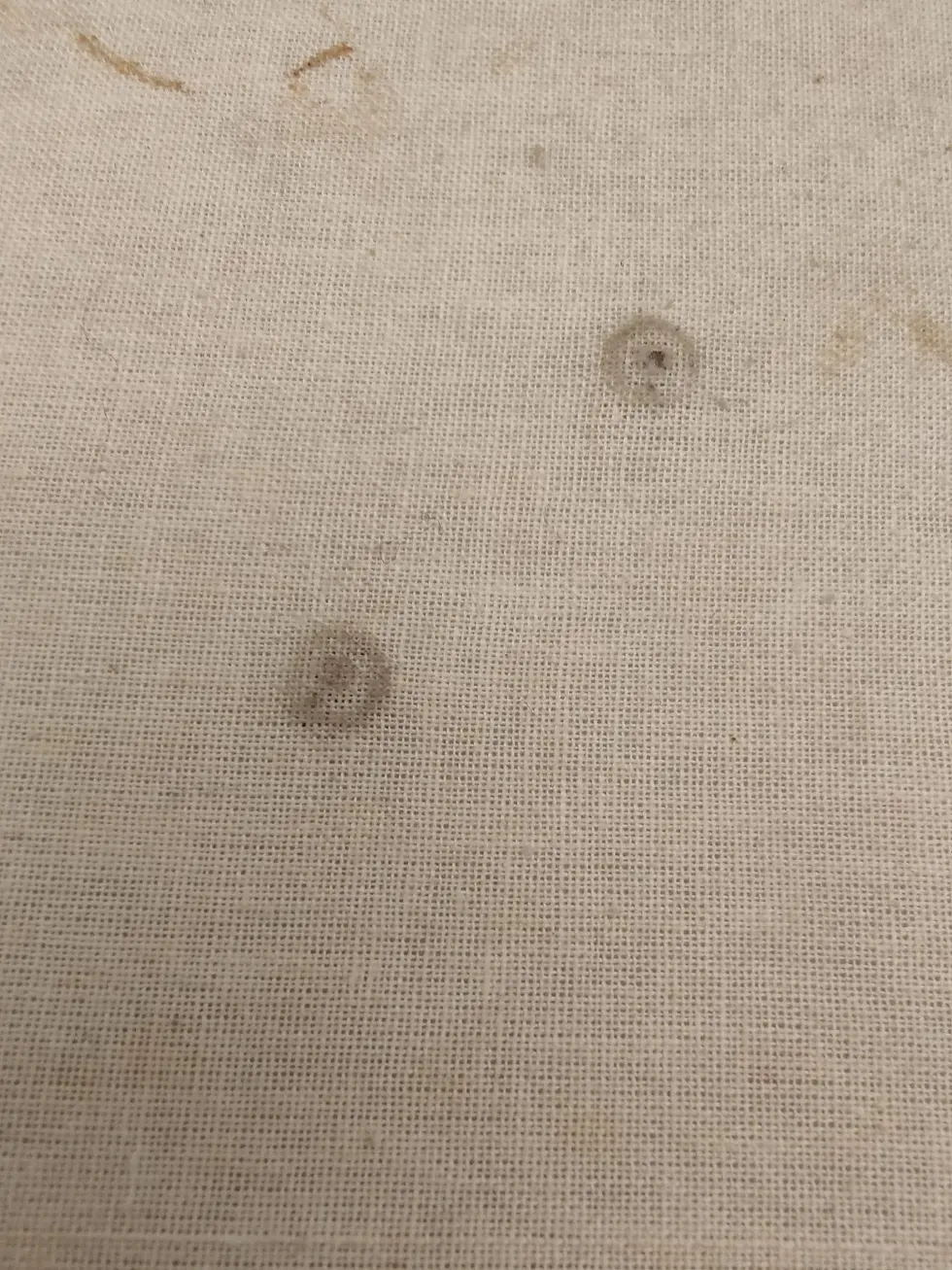 Thumbnail: True Vintage Ferrari Crest made with original parts in 70s / 80s