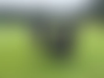 ASHRAE WI 2023 Golf Outing