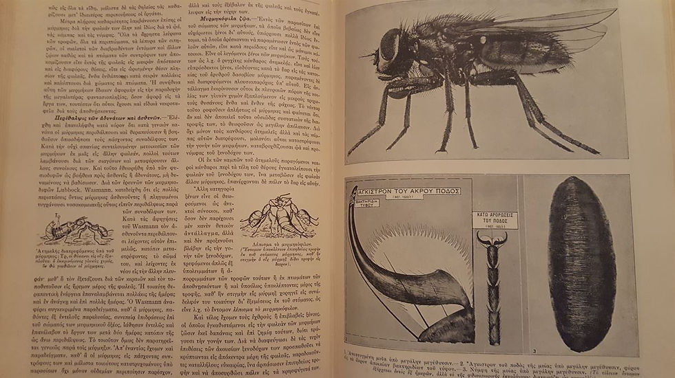Μικρογραφία: Ο ΒΙΟΣ ΤΩΝ ΖΩΩΝ (1932) - Υπό Νικολάου Κ. Γερμανού - ΩΚΥΠΟΥΣ ΠΑΛΑΙΟΒΙΒΛΙΟΠΩΛΕΙΟ