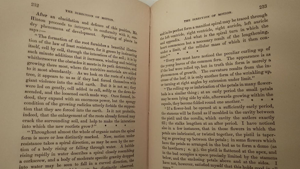 Μικρογραφία: FIRST PRINCIPLES (1880) - Herbert Spencer - ΩΚΥΠΟΥΣ ΠΑΛΑΙΟΒΙΒΛΙΟΠΩΛΕΙΟ
