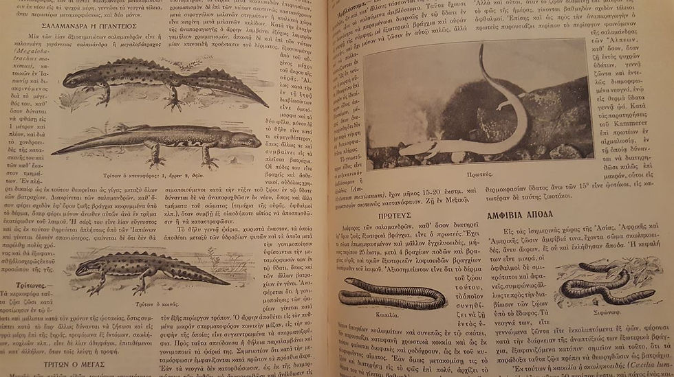 Μικρογραφία: Ο ΒΙΟΣ ΤΩΝ ΖΩΩΝ (1932) - Υπό Νικολάου Κ. Γερμανού - ΩΚΥΠΟΥΣ ΠΑΛΑΙΟΒΙΒΛΙΟΠΩΛΕΙΟ
