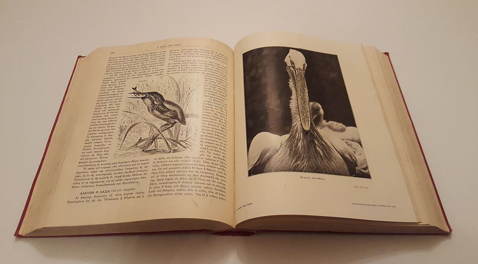 Μικρογραφία: Ο ΒΙΟΣ ΤΩΝ ΖΩΩΝ (1932) - Υπό Νικολάου Κ. Γερμανού - ΩΚΥΠΟΥΣ ΠΑΛΑΙΟΒΙΒΛΙΟΠΩΛΕΙΟ
