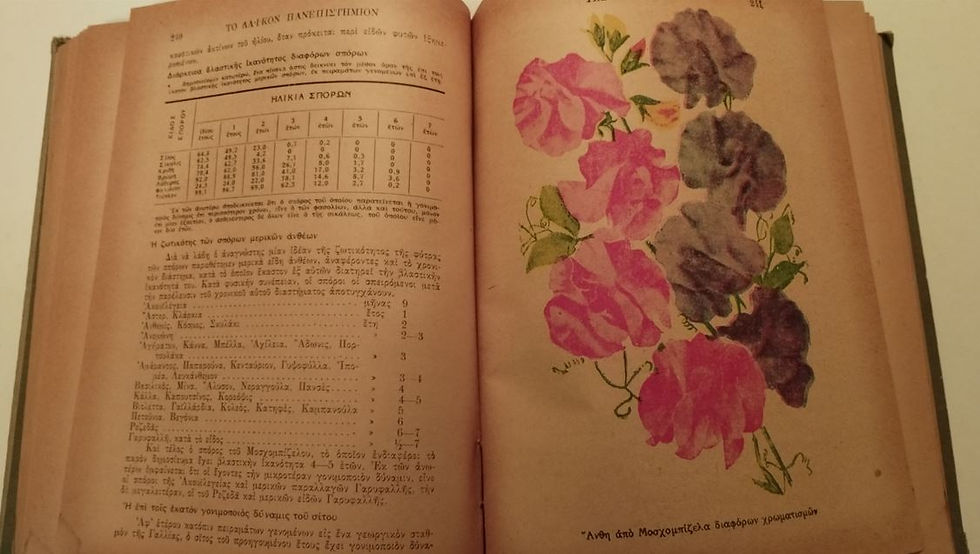 Thumbnail: ΛΑΪΚΟΝ ΠΑΝΕΠΙΣΤΗΜΙΟΝ ΤΗΣ "ΒΡΑΔΥΝΗΣ", ΤΟΜΟΣ, ΤΕΥΧΗ 5 & 6 (1933 - 1934)