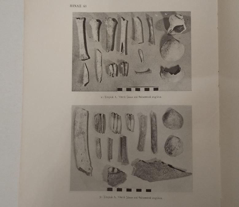 Thumbnail: ΑΝΑΣΚΑΦΗ ΒΡΥΣΩΝ ΚΥΔΩΝΙΑΣ 1. 1974 - Συλλογικό έργο - ΩΚΥΠΟΥΣ ΠΑΛΑΙΟΒΙΒΛΙΟΠΩΛΕΙΟ