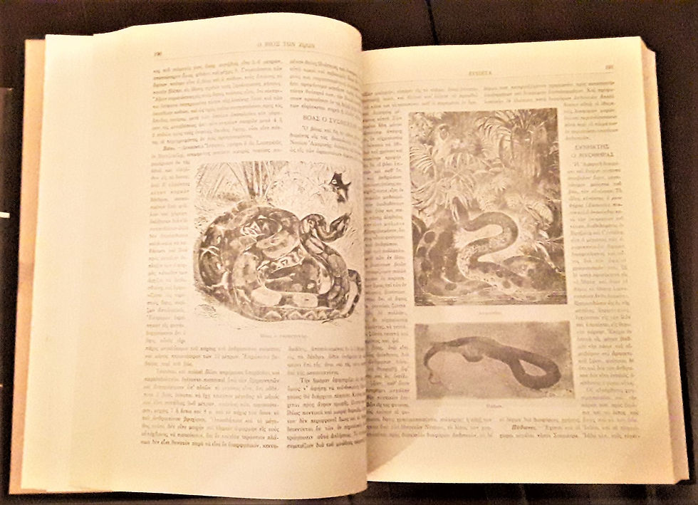 Μικρογραφία: Ο ΒΙΟΣ ΤΩΝ ΖΩΩΝ (1932) - Εκδοτικός Οίκος Ελευθερουδάκη