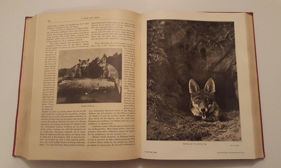 Μικρογραφία: Ο ΒΙΟΣ ΤΩΝ ΖΩΩΝ (1932) - Υπό Νικολάου Κ. Γερμανού - ΩΚΥΠΟΥΣ ΠΑΛΑΙΟΒΙΒΛΙΟΠΩΛΕΙΟ
