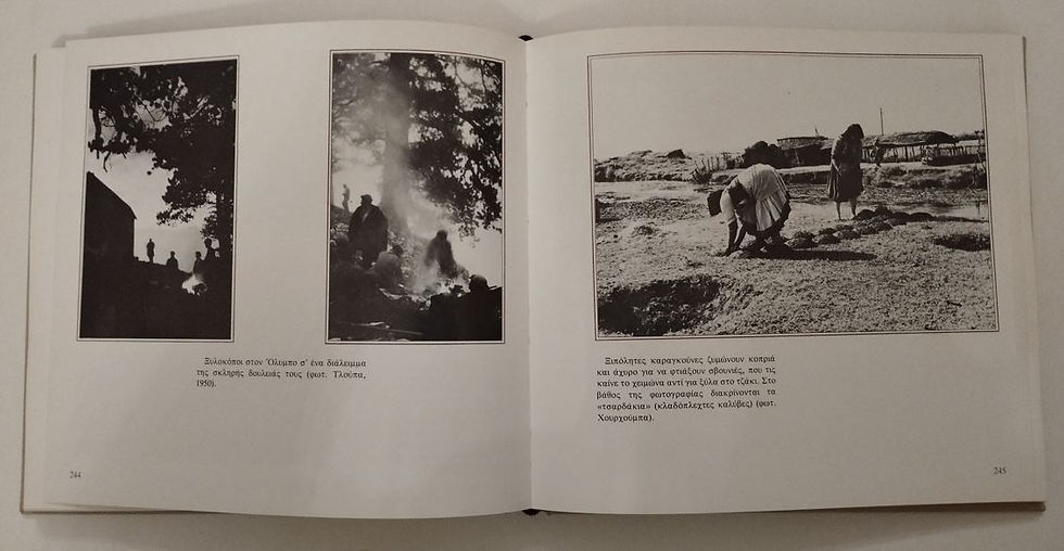 Thumbnail: ΘΕΣΣΑΛΙΑ 1881-1981 ΕΚΑΤΟ ΧΡΟΝΙΑ ΖΩΗΣ - Μαρούλα Κλιάφα