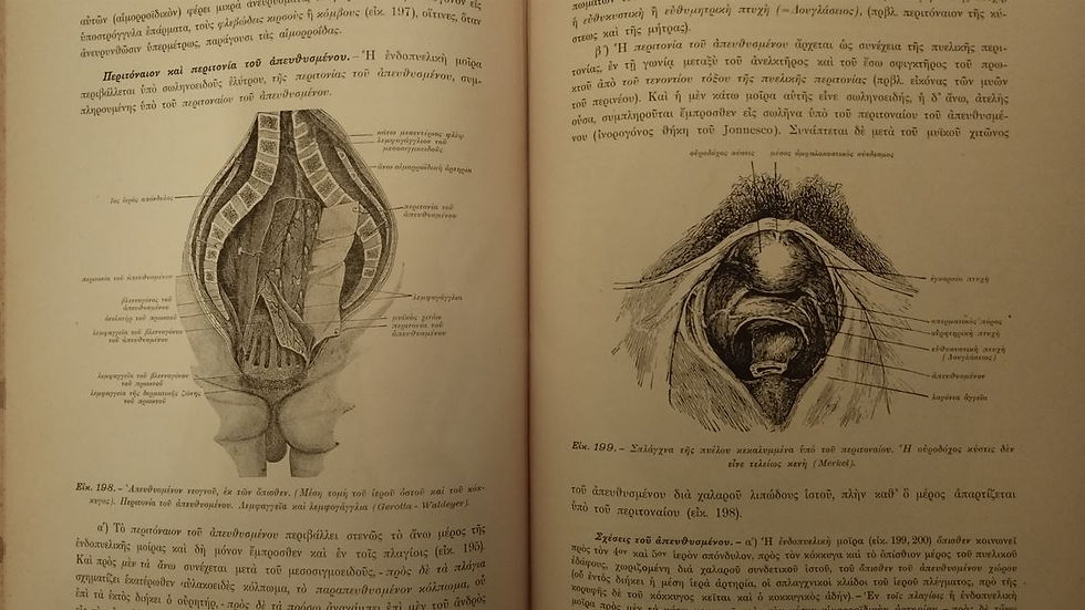Μικρογραφία: ΑΝΑΤΟΜΙΚΗ ΤΟΥ ΑΝΘΡΩΠΟΥ, ΤΟΜΟΣ ΔΕΥΤΕΡΟΣ: ΣΠΛΑΓΧΝΟΛΟΓΙΑ (1920) - Γεωργ. Σκλαβούνου - ΩΚΥΠΟΥΣ ΠΑΛΑΙΟΒΙΒΛΙΟΠΩΛΕΙΟ