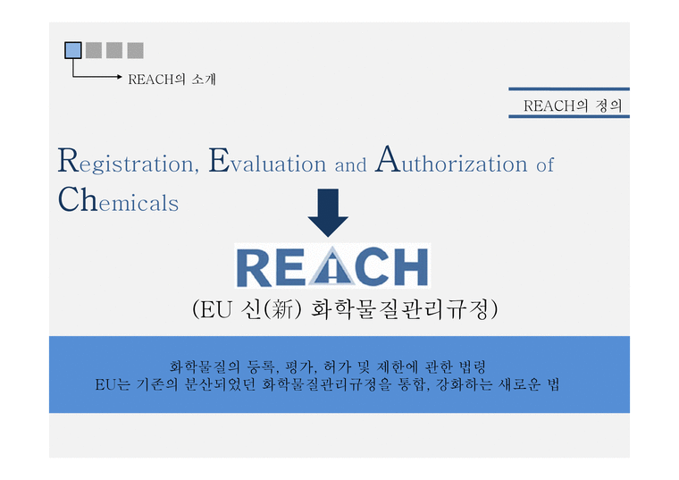 REACH 소개 슬라이드로, 화학물질 등록·평가·허가 규정 제목과 REACH 로고, EU 신(新) 화학물질관리규정 설명이 보인다.