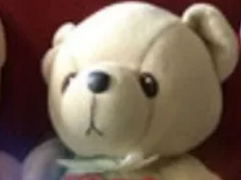 Diana pics.PNG