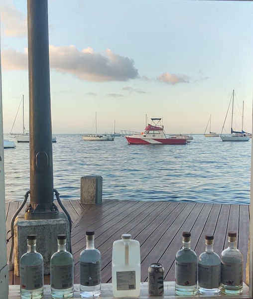 Munity Boardwalk_edited.jpg