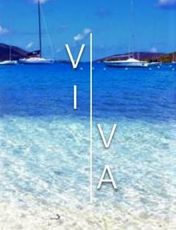 Vivacation Rental business image