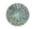Web 1920 – 1.png