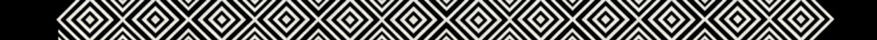 Gemini_Generated_Image_bpn4l3bpn4l3bpn4_edited.jpg