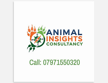 AIC Logo with phone number