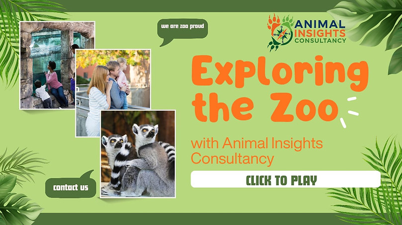 Exploring the Zoo