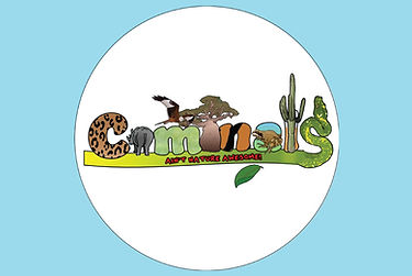 Caminals logo