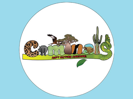 Caminals logo