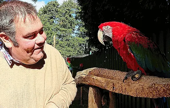 macaw-flight.webp