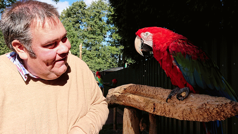 Talking with the green wing macaw