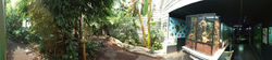 Biome planted to a South American vision