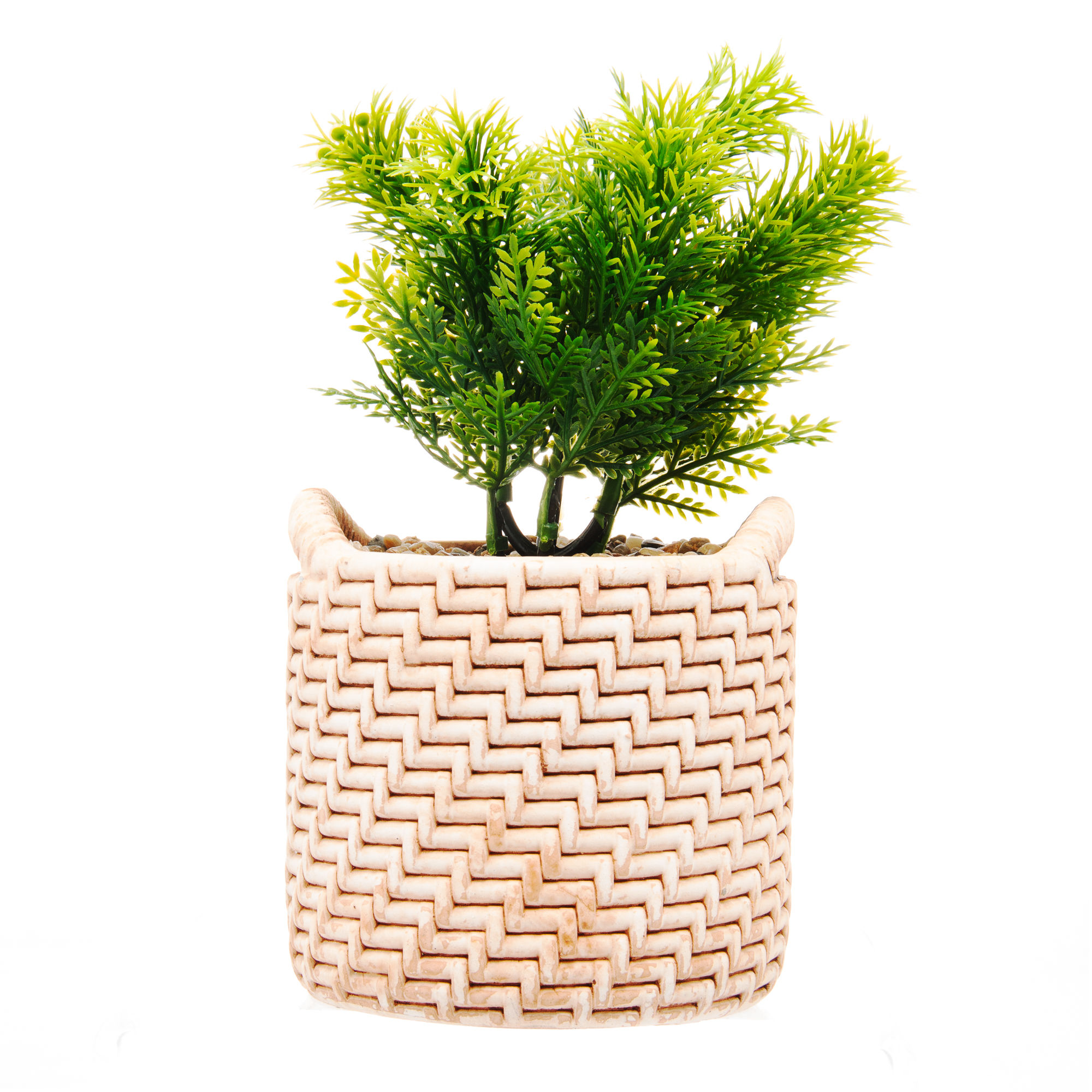 Cachepot De Cerâmica Com Suculenta Palha 10cm x 10cm x 19cm - Wolff