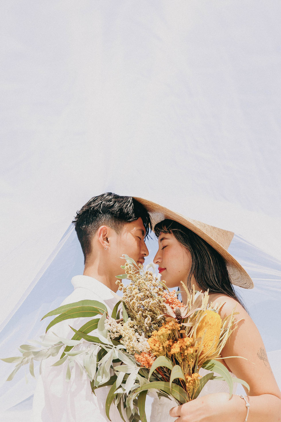 New Light Collection