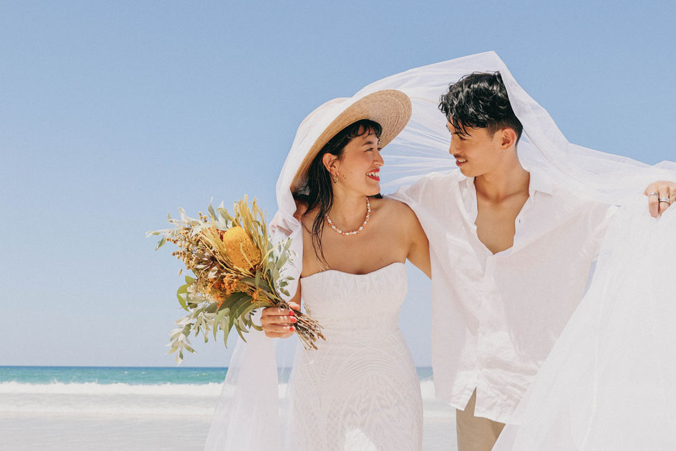 New Light Collection