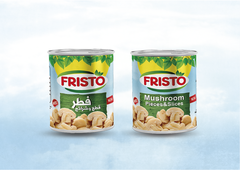 FRISTO ITEM-09.png